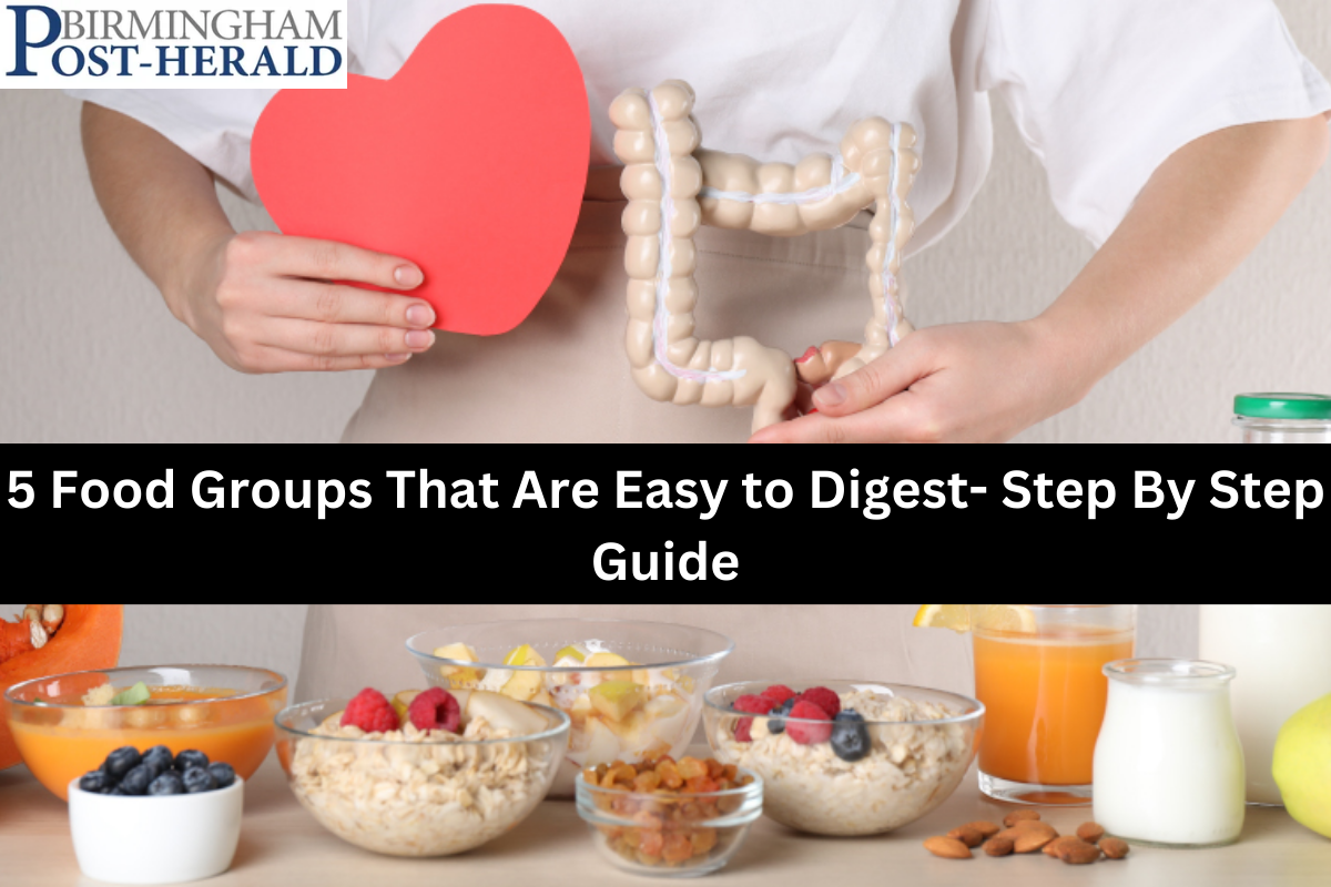 5 Food Groups That Are Easy to Digest- Step By Step Guide