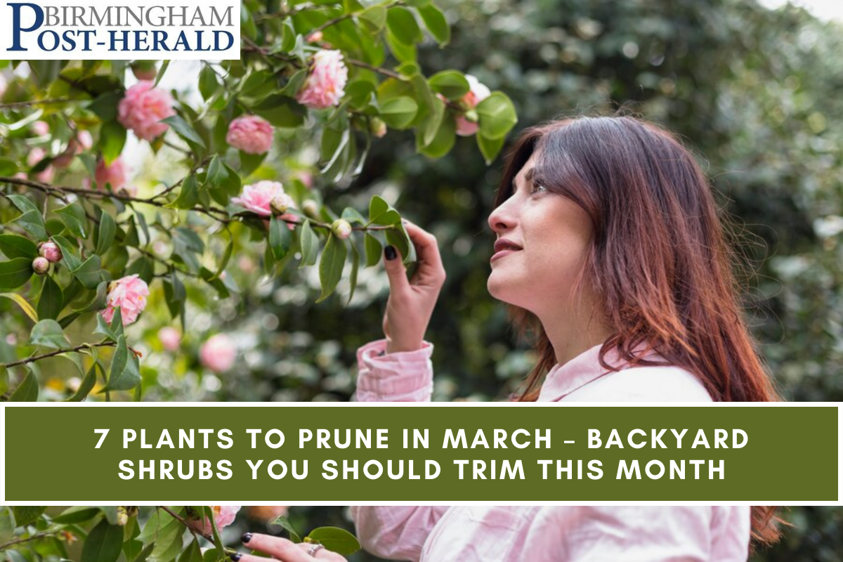 7 Plants To Prune In March – Backyard Shrubs You Should Trim This Month