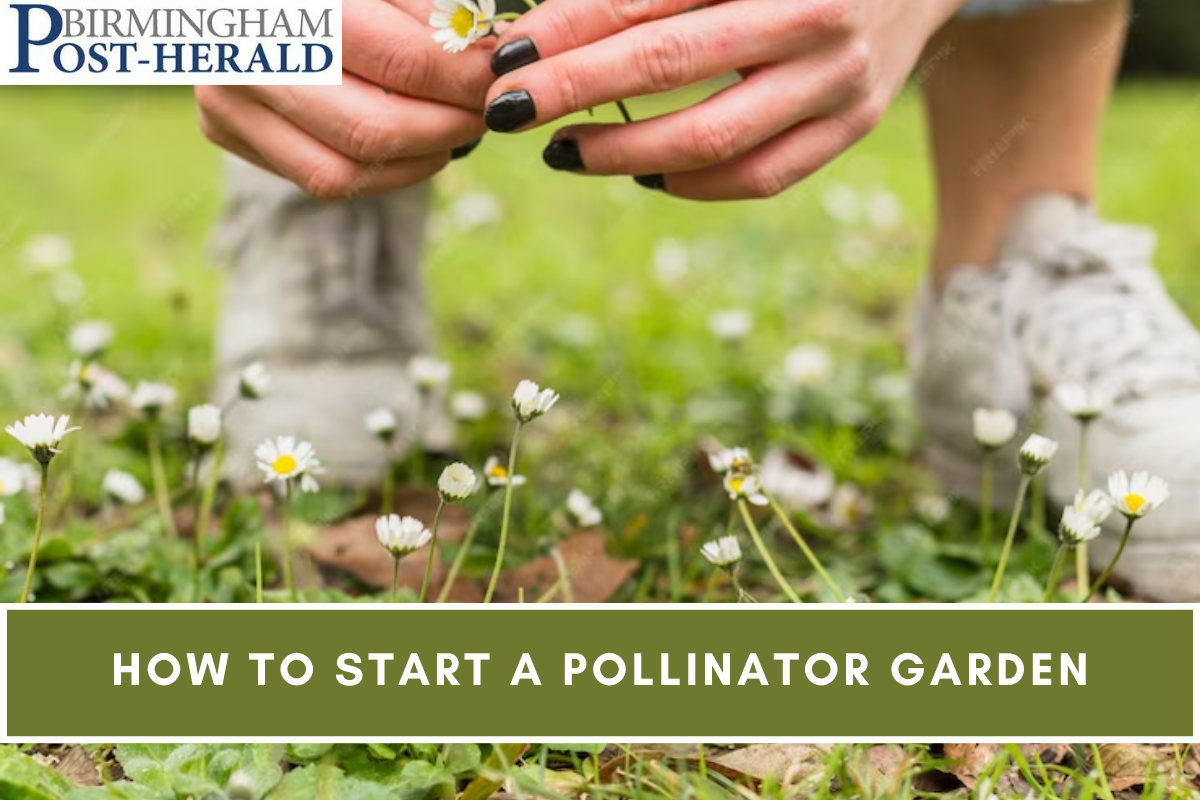 How to Start a Pollinator Garden