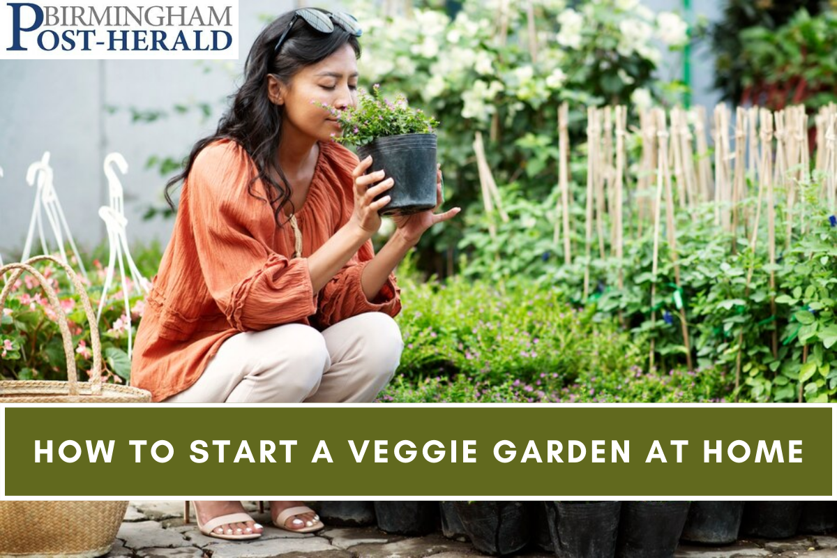 How to Start a Veggie Garden at Home