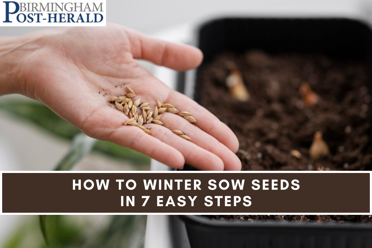 How to Winter Sow Seeds in 7 Easy Steps