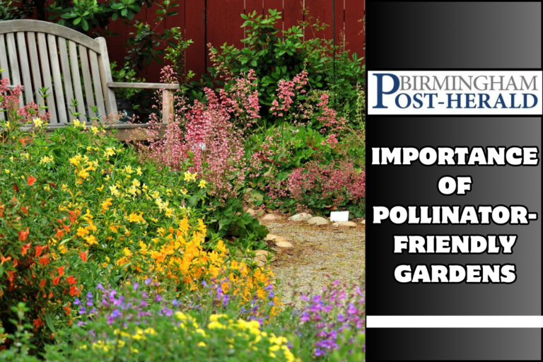 Importance of Pollinator-Friendly Gardens