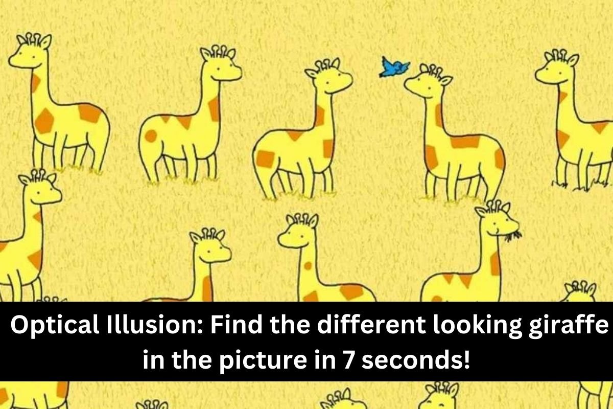 Optical Illusion Find the different looking giraffe in the picture in 7 seconds!